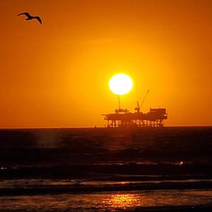 国产一级A片毛毛天码美女视频
