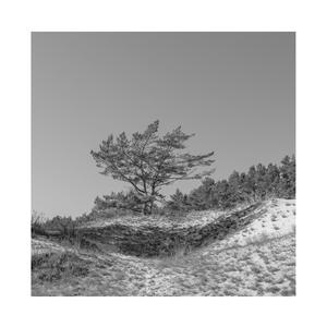 国产一级A片毛毛天码美女视频
